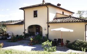 Serendipity House B&B